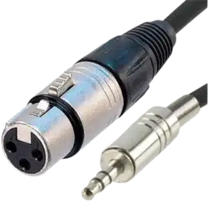 Câble Mini XLR vers Jack