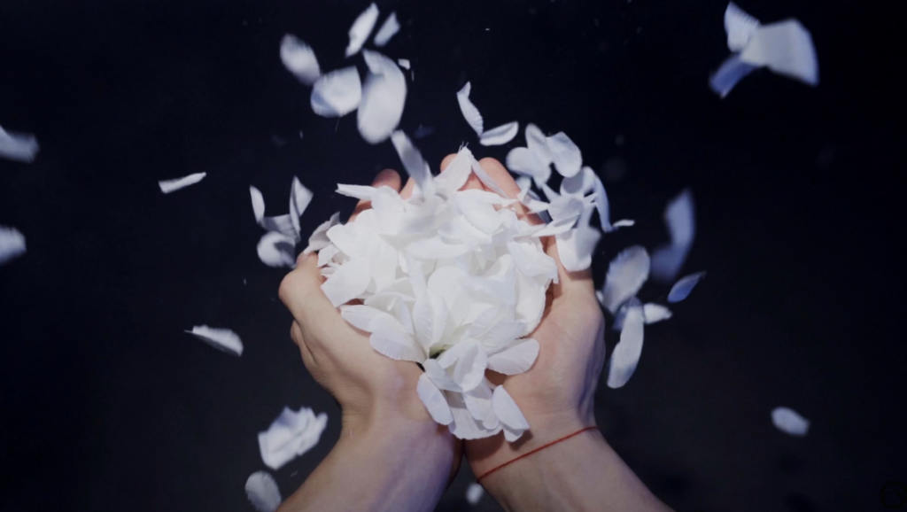 Capture d'écran 2026-03-21 215258